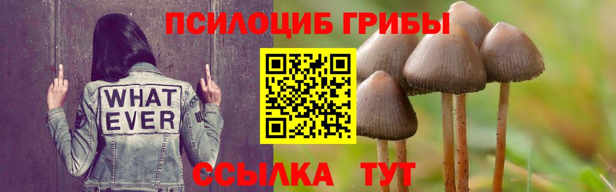Галлюциногенные грибы мухоморы Трёхгорный