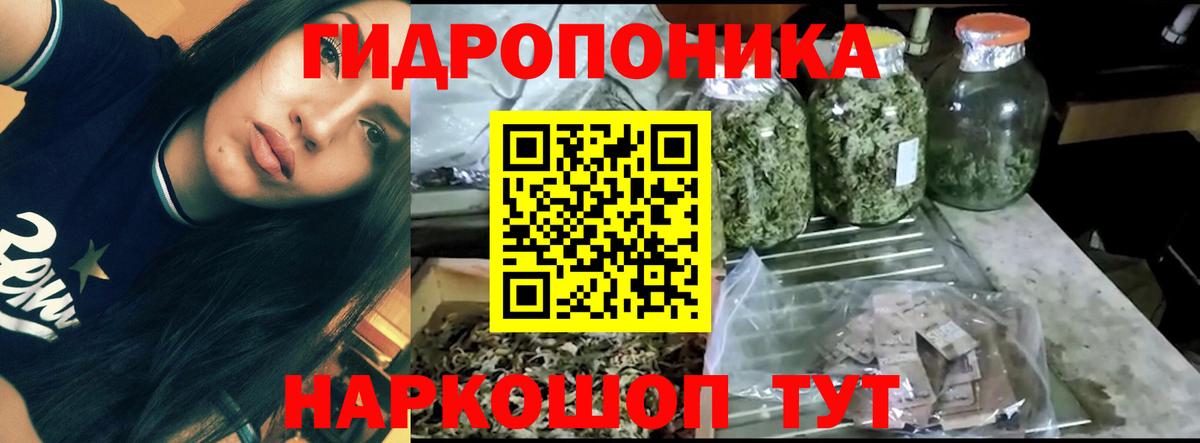 Бошки Шишки THC 21% Трёхгорный